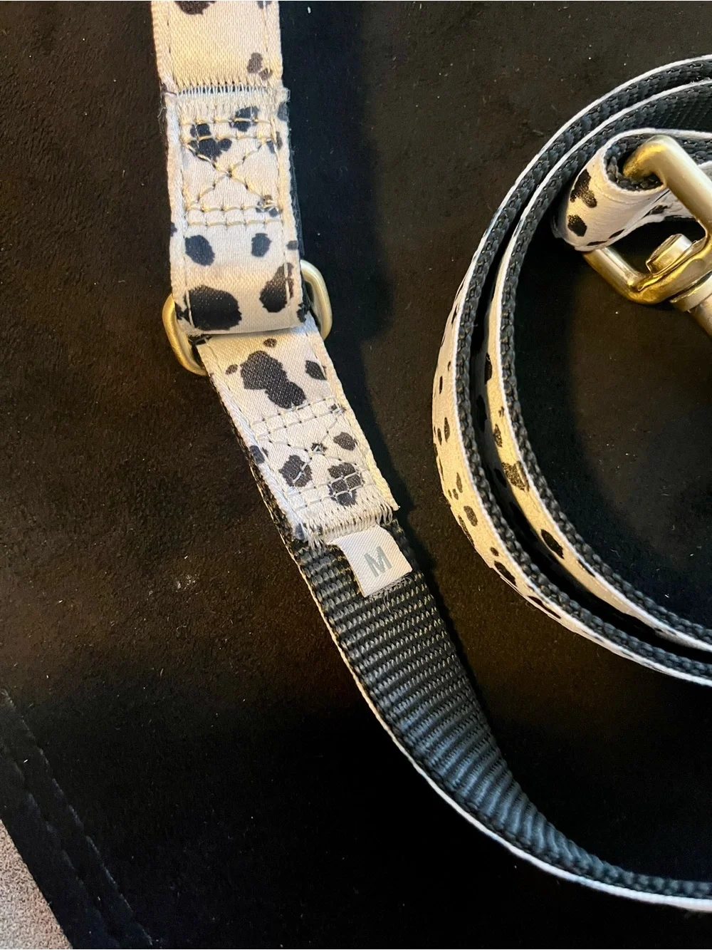 DOGHAUS Dalmatian Spot Print Heavy Duty Dog Leash Size: Medium